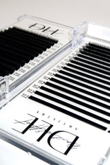 Bottom Trays